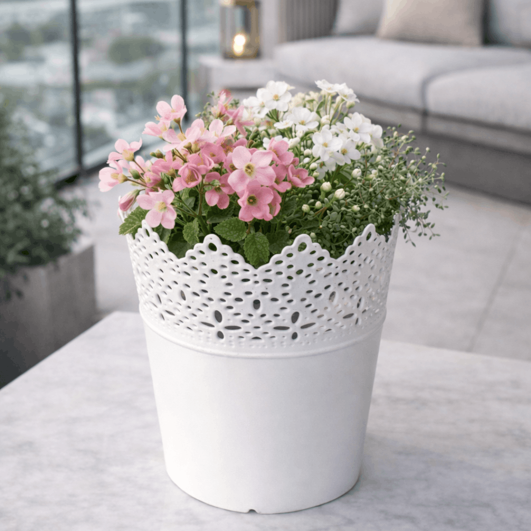 Saksija/ukrasna posuda bijela 18,5×14 cm (čipkasti rub) - pvc