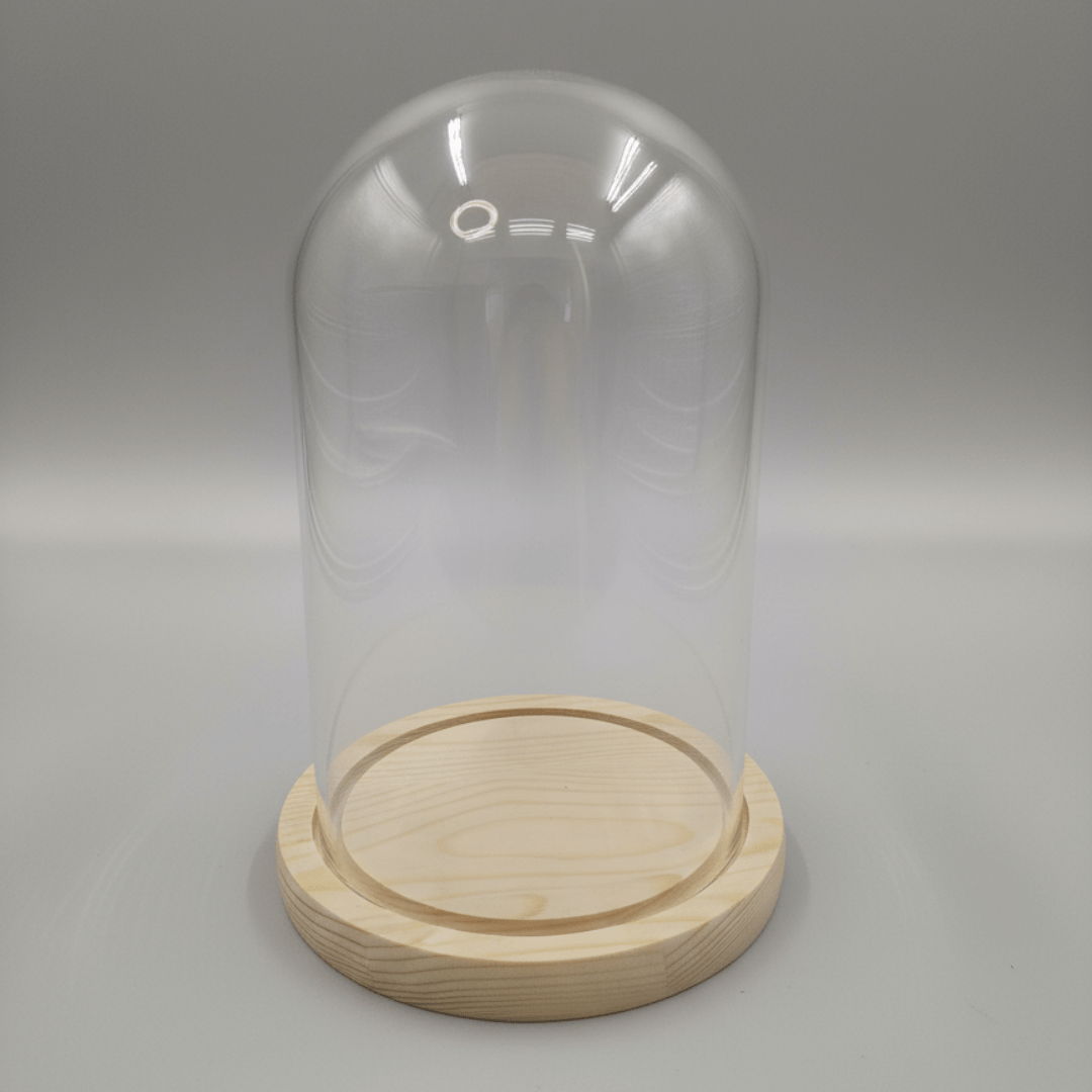 Staklena kupola s drvenim postoljem – dekorativno staklo za aranžmane 21 x 12 cm sa LED lampicama