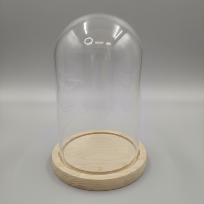 Staklena kupola s drvenim postoljem – dekorativno staklo za aranžmane 21 x 12 cm sa LED lampicama
